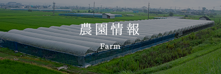 おかやまの雫農園情報