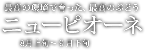 商品一覧