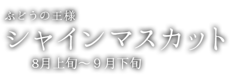 商品一覧